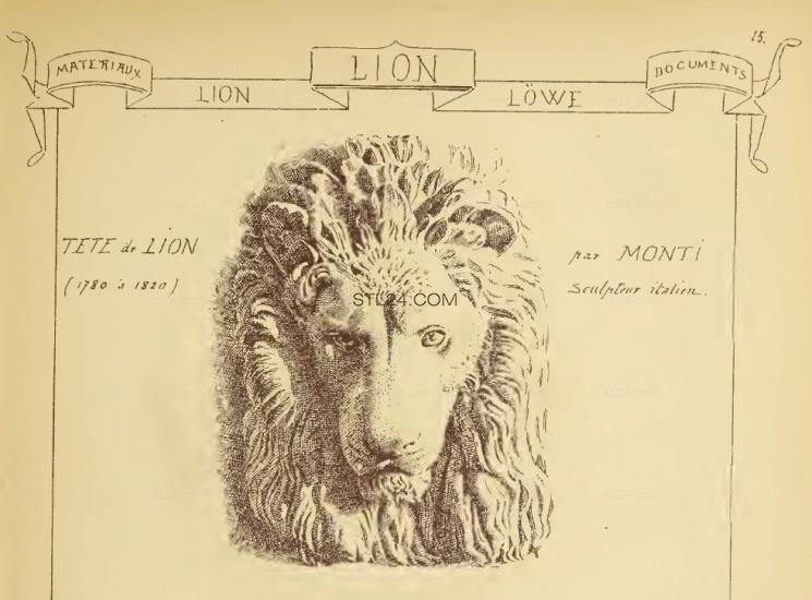 LION_0034